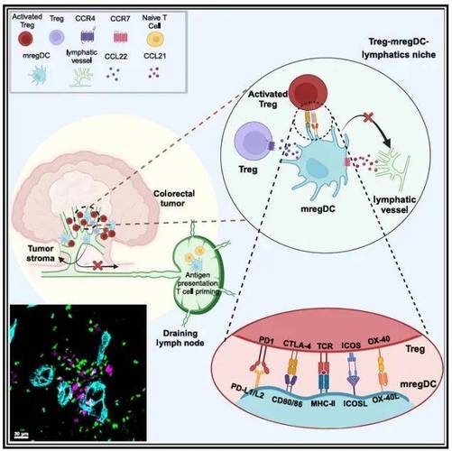 +oncology +cro,+oncology +cro: A Comprehensive Overview