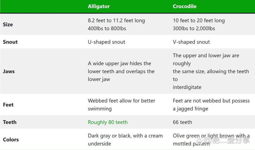 alligator vs cro,Are you ready to dive into the fascinating world of reptiles? Let’s take a closer look at two of the most intriguing creatures: alligators and crocodiles. In this article, we’ll explore their similarities, differences, and unique characteristics that set them apart.