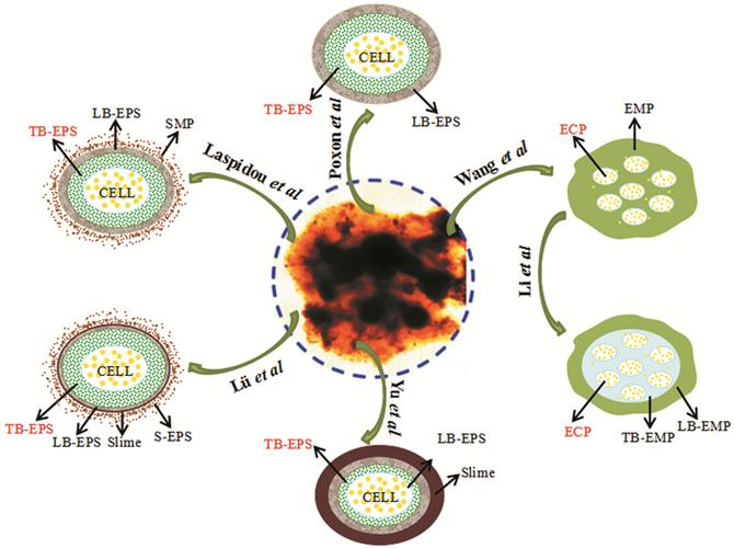 ateps of dybrid croos,Steps of DNA Hybridization Cross: A Detailed Guide