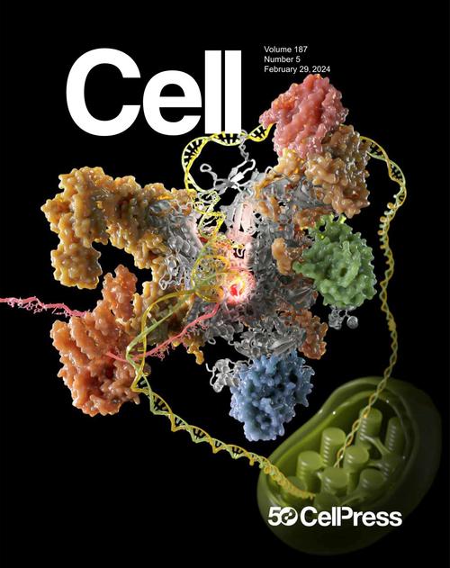 cro cartoon cell,Cro Cartoon Cell: A Detailed Multidimensional Introduction