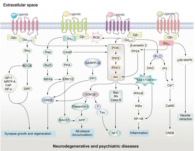 cro cpo infection,Crocodile PO Infection: A Comprehensive Overview