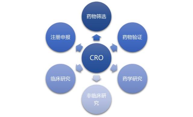 cro cpin,Understanding CROs