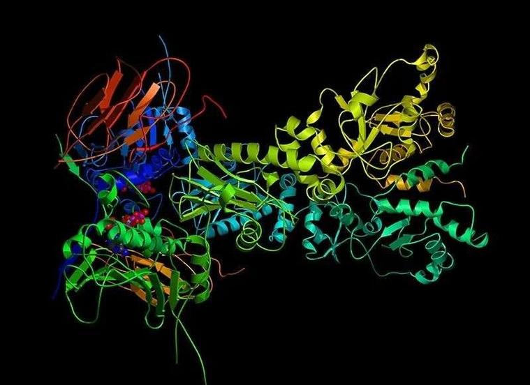 alpha oncology cro,Alpha Oncology CRO: A Comprehensive Overview