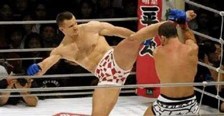 cro cop vs nelson 2 fight,Background of the Fight