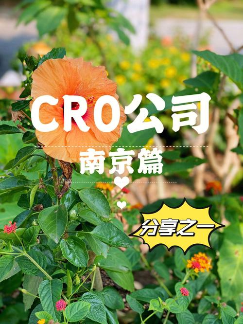 cro ???? ?? ??,Cro: A Comprehensive Guide to Understanding and Utilizing This Term